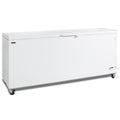 Vrieskast consumptie-ijs CF700 SL